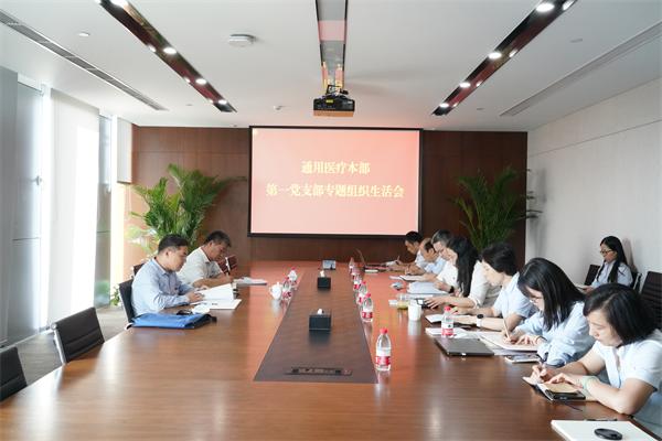 集团党史学习教育第三指导组到通用医疗指导党史学习教育专题组织生活会(图1)